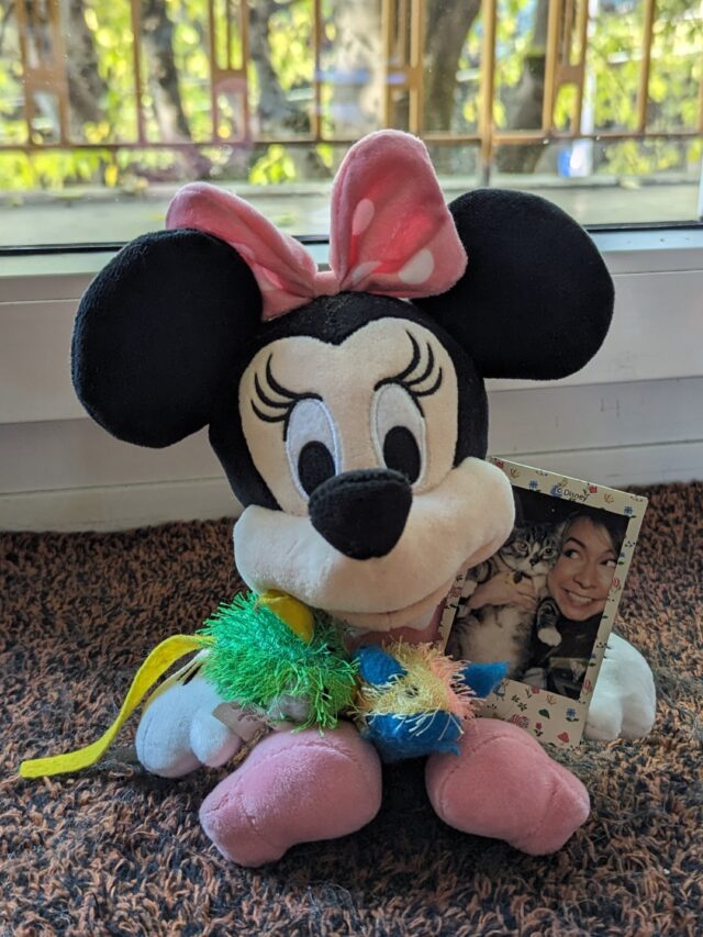 minnie mouse stuffed animal holding a cat toy and a instapix photo of a woman holding her cat